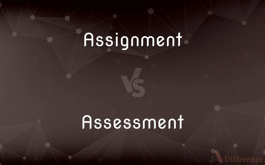 assessment difference between assignment