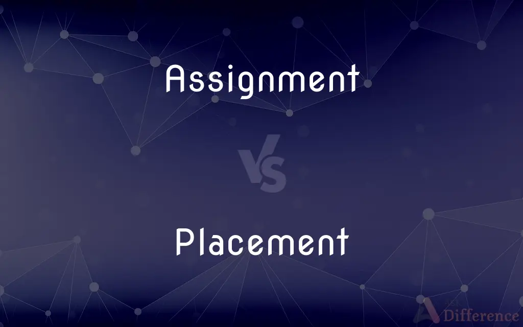 Assignment vs. Placement — What's the Difference?