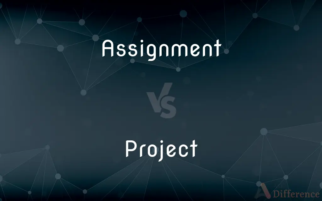 difference between assignment and real time project