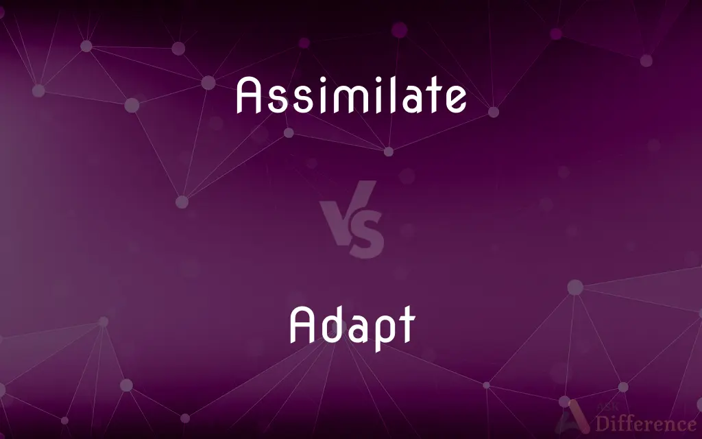 Assimilate vs. Adapt — What's the Difference?
