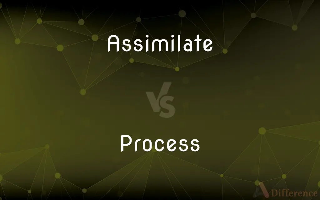 Assimilate vs. Process — What's the Difference?