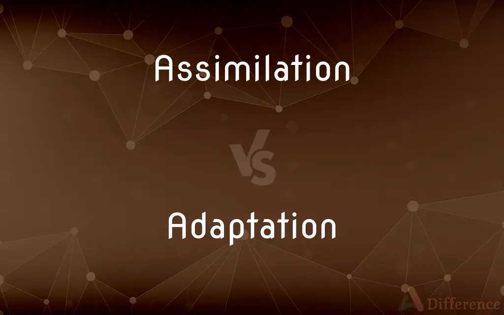 Assimilation vs. Adaptation — What's the Difference?
