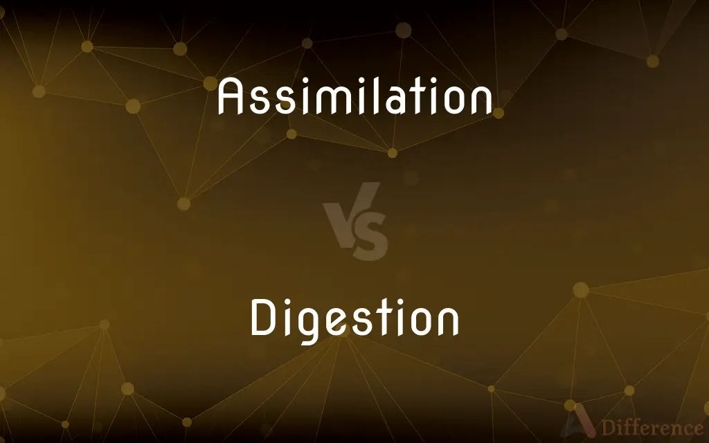 Assimilation vs. Digestion — What's the Difference?