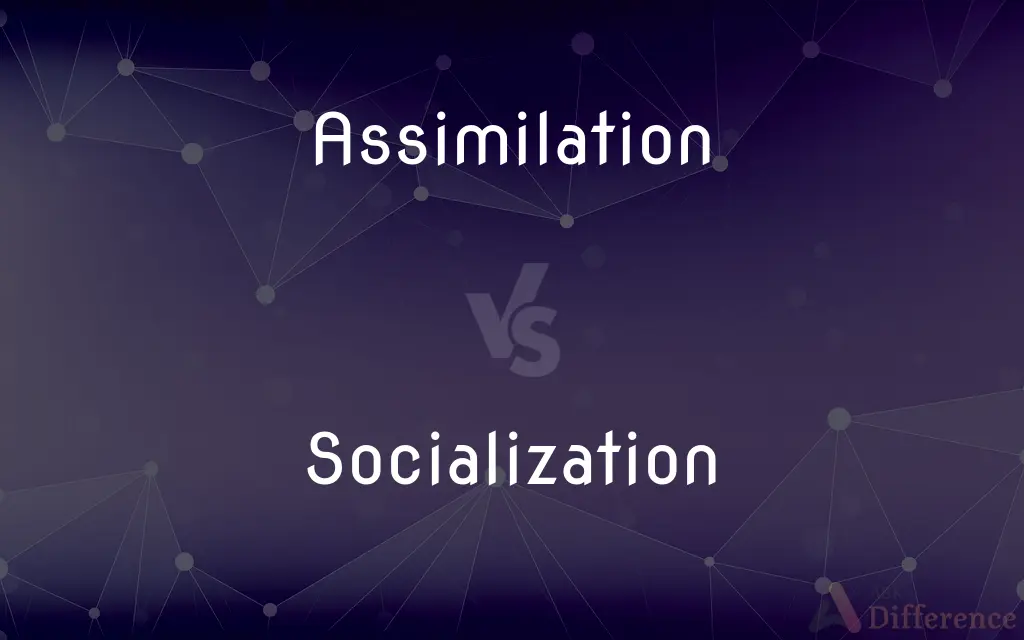 Assimilation vs. Socialization — What's the Difference?