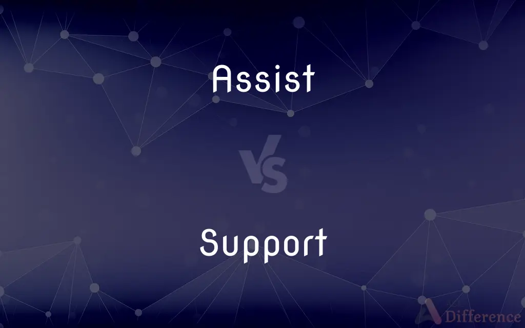 Assist vs. Support — What's the Difference?