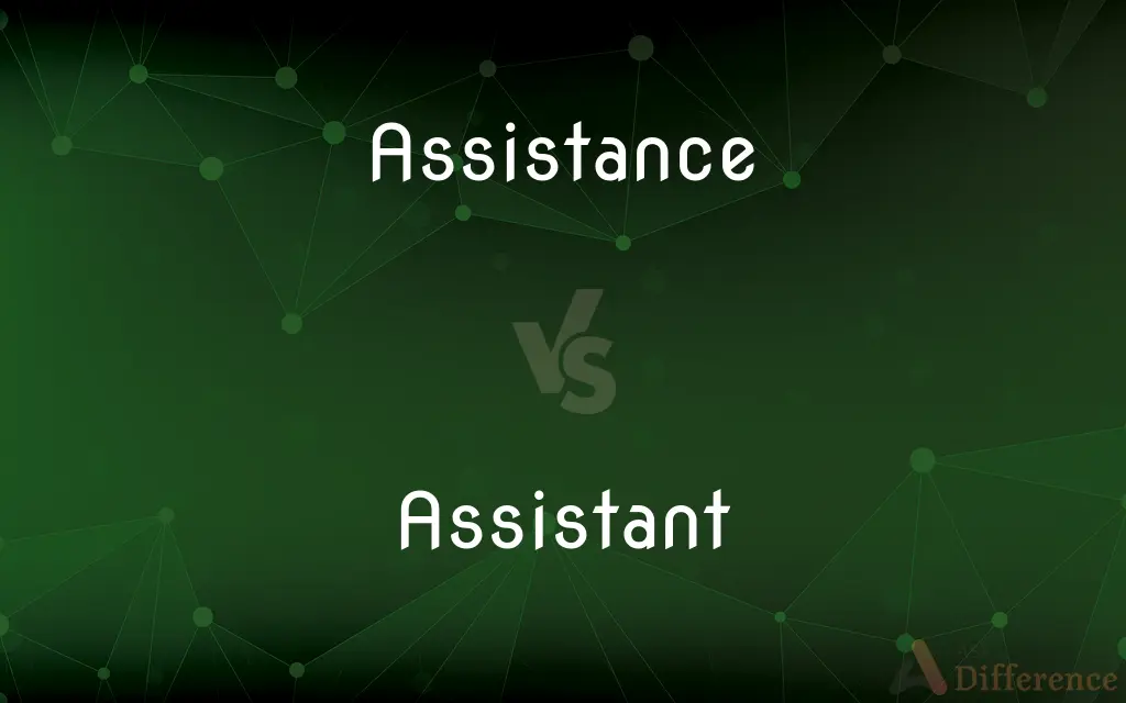 Assistance vs. Assistant — What's the Difference?