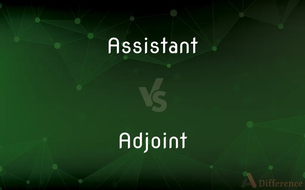 Assistant vs. Adjoint — What's the Difference?