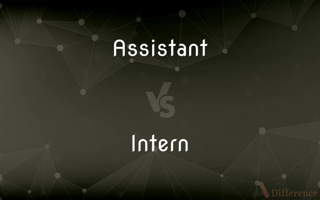 Assistant vs. Intern — What's the Difference?