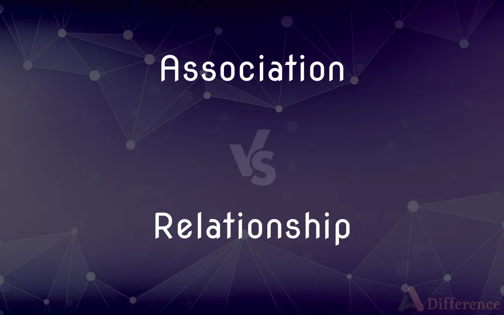 Association vs. Relationship — What's the Difference?