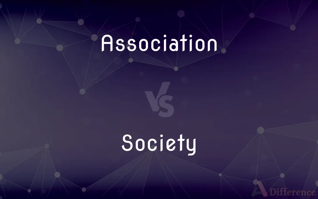Association vs. Society — What's the Difference?