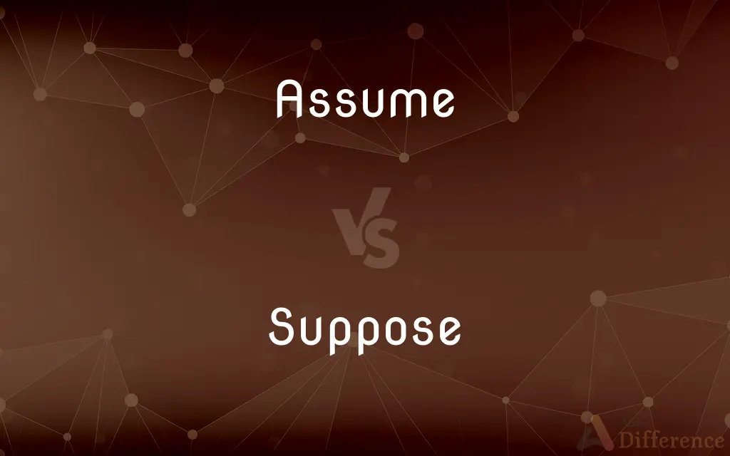 Assume vs. Suppose — What's the Difference?