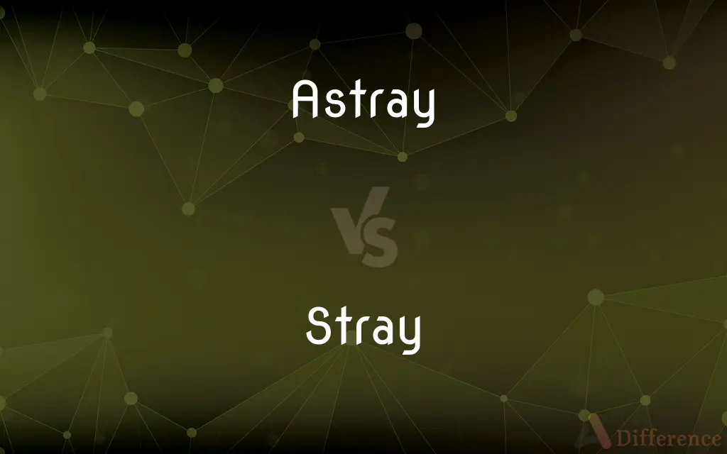 Astray vs. Stray — What's the Difference?