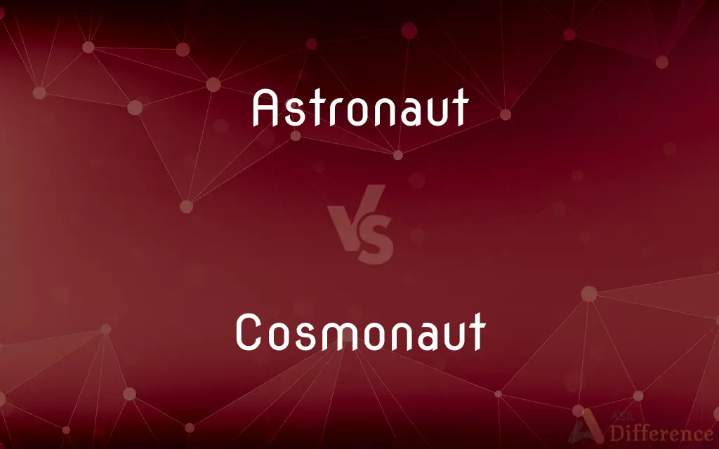 Astronaut vs. Cosmonaut — What's the Difference?