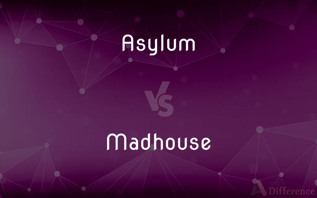 Asylum vs. Madhouse — What's the Difference?