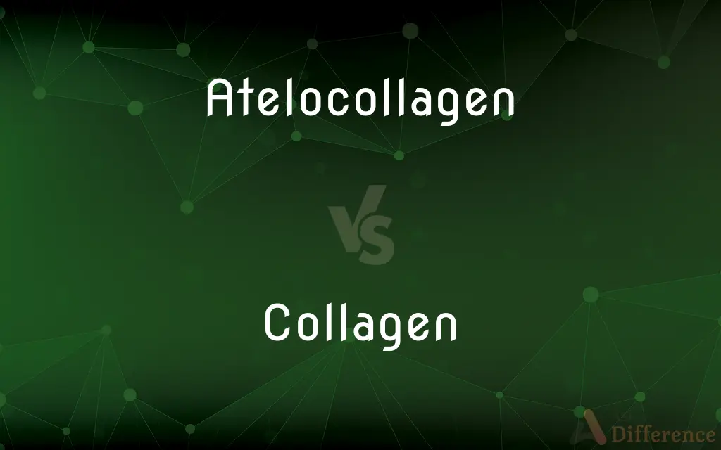 Atelocollagen vs. Collagen — What's the Difference?