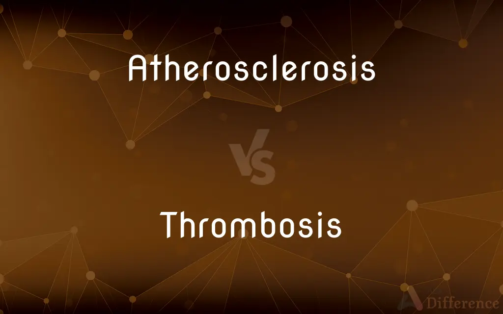 Atherosclerosis vs. Thrombosis — What's the Difference?