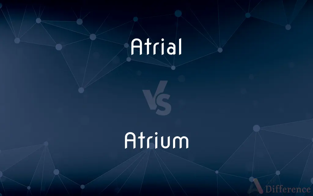 Atrial vs. Atrium — What's the Difference?