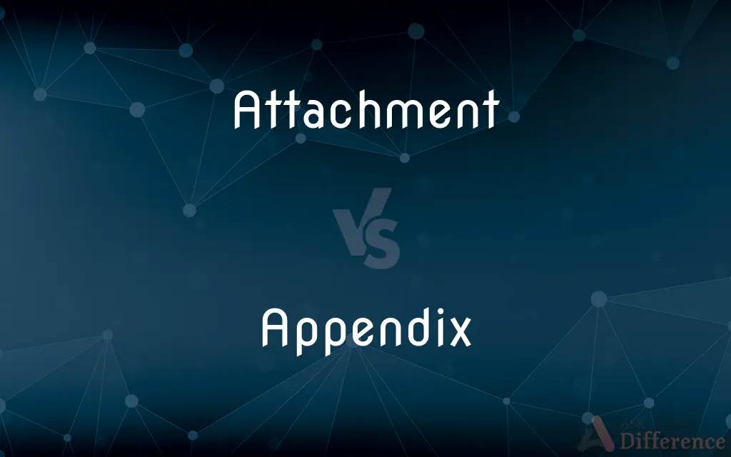 Attachment vs. Appendix — What's the Difference?