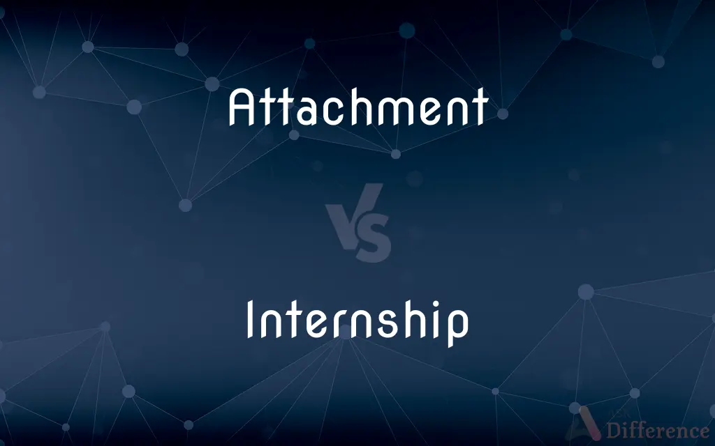 Attachment vs. Internship — What's the Difference?