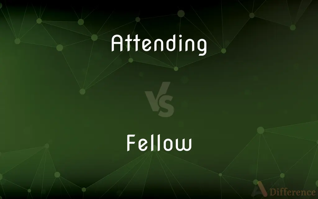 Attending vs. Fellow — What's the Difference?