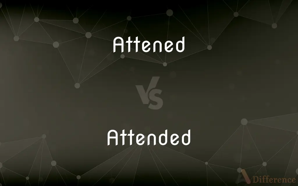 Attened vs. Attended — Which is Correct Spelling?