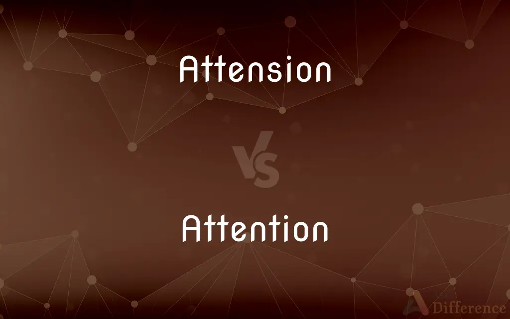 Attension vs. Attention — Which is Correct Spelling?