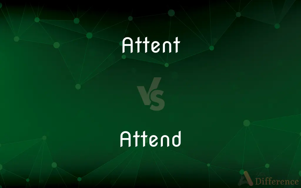 Attent vs. Attend — Which is Correct Spelling?