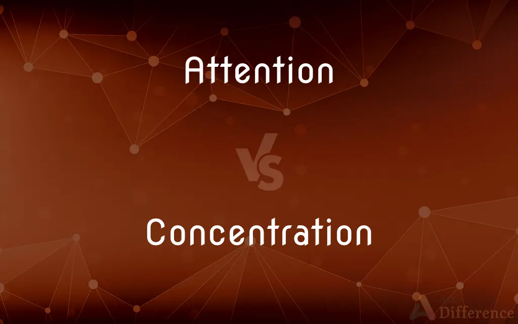 Attention vs. Concentration — What's the Difference?