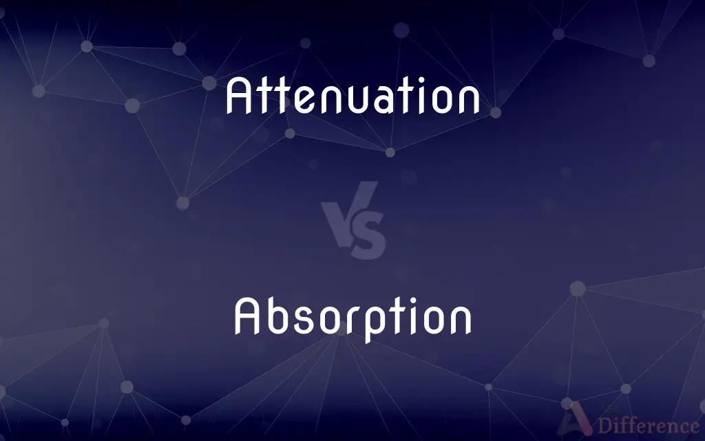 Attenuation vs. Absorption — What's the Difference?