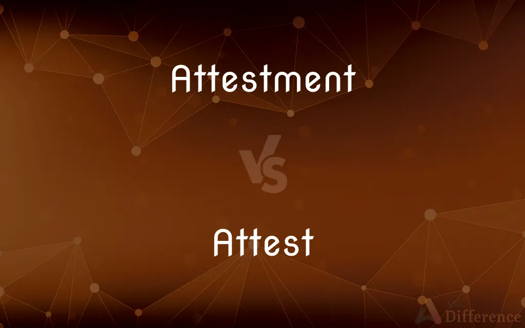 Attestment vs. Attest — Which is Correct Spelling?