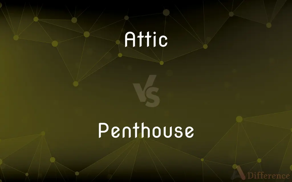 Attic vs. Penthouse — What's the Difference?