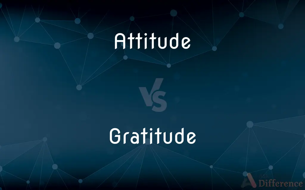 Attitude vs. Gratitude — What's the Difference?