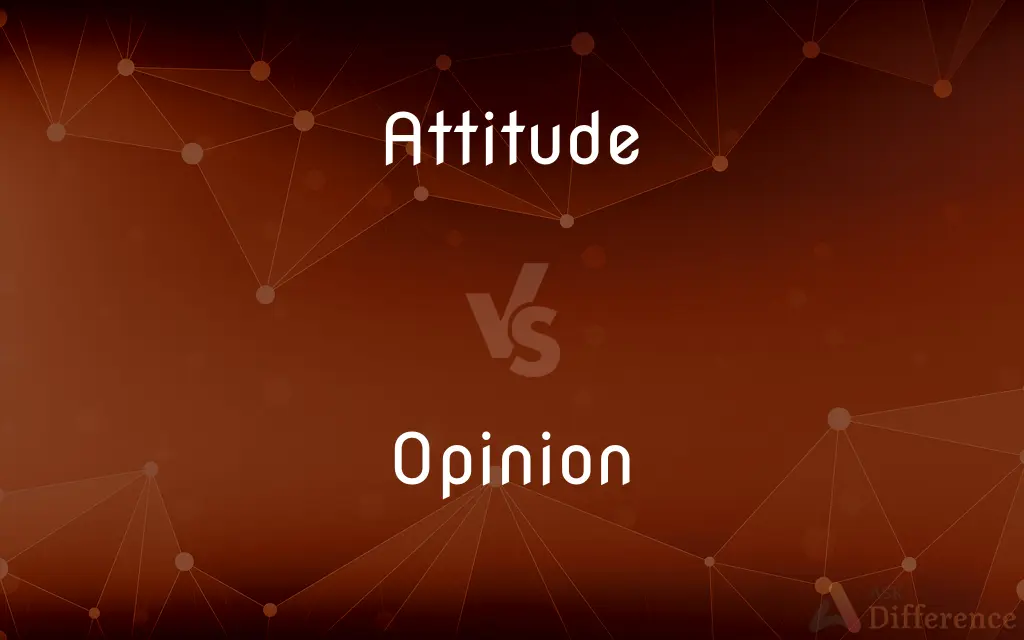 Attitude vs. Opinion — What's the Difference?