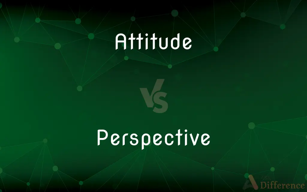 Attitude vs. Perspective — What's the Difference?