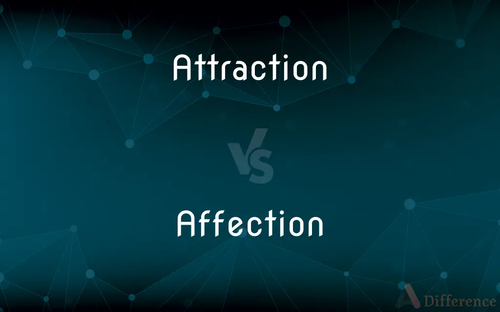 Attraction vs. Affection — What's the Difference?