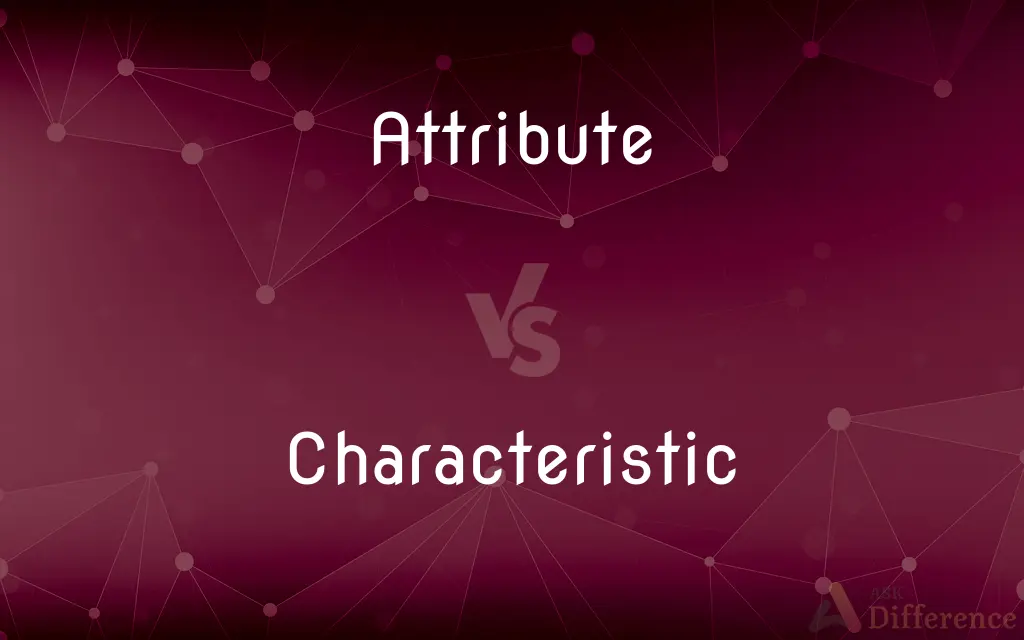 Attribute vs. Characteristic — What's the Difference?