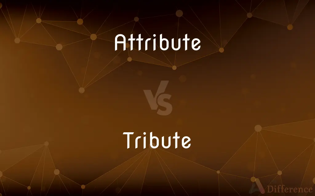 Attribute vs. Tribute — What's the Difference?