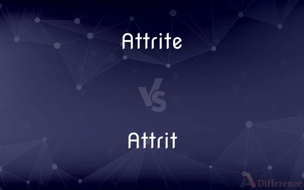 Attrite vs. Attrit — What's the Difference?
