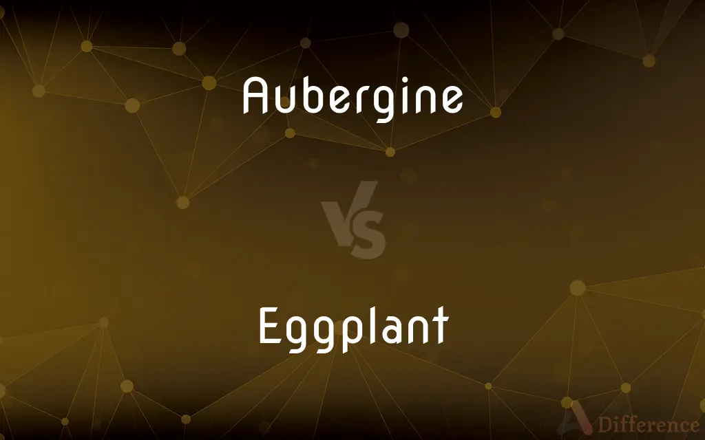 Aubergine vs. Eggplant — What's the Difference?