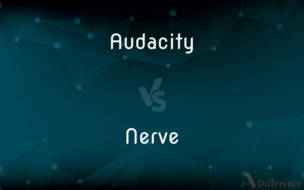Audacity vs. Nerve — What's the Difference?
