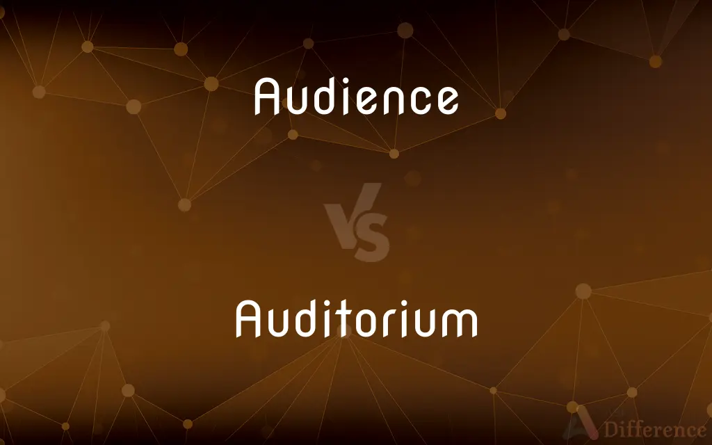 Audience vs. Auditorium — What's the Difference?