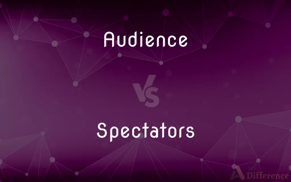 Audience vs. Spectators — What's the Difference?