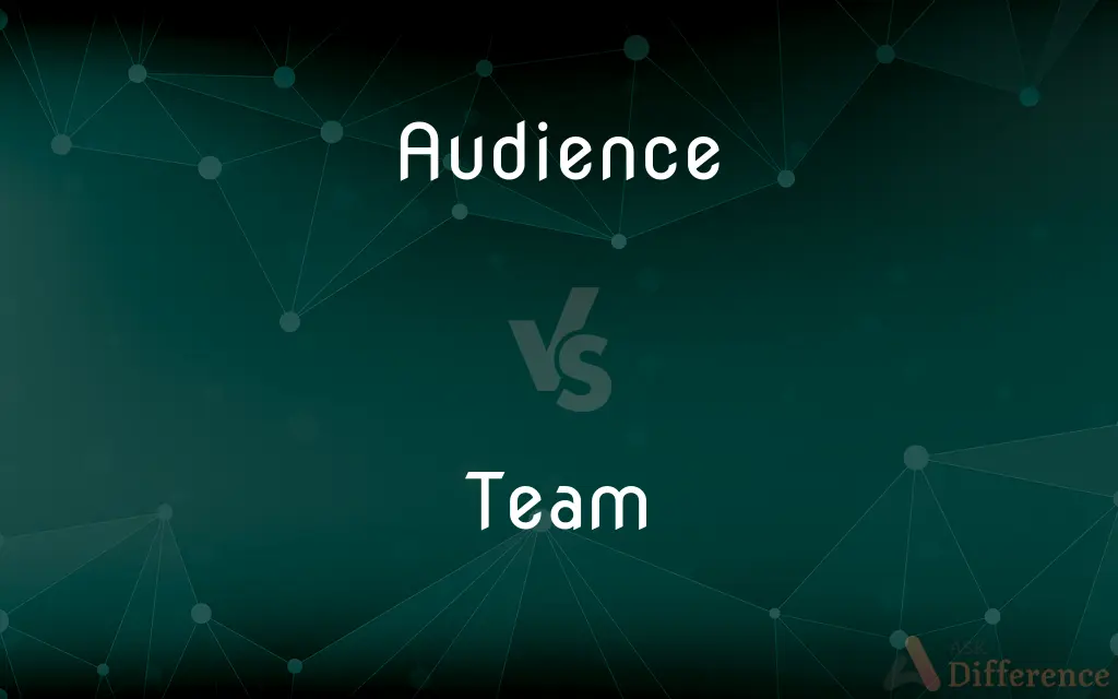 Audience vs. Team — What's the Difference?