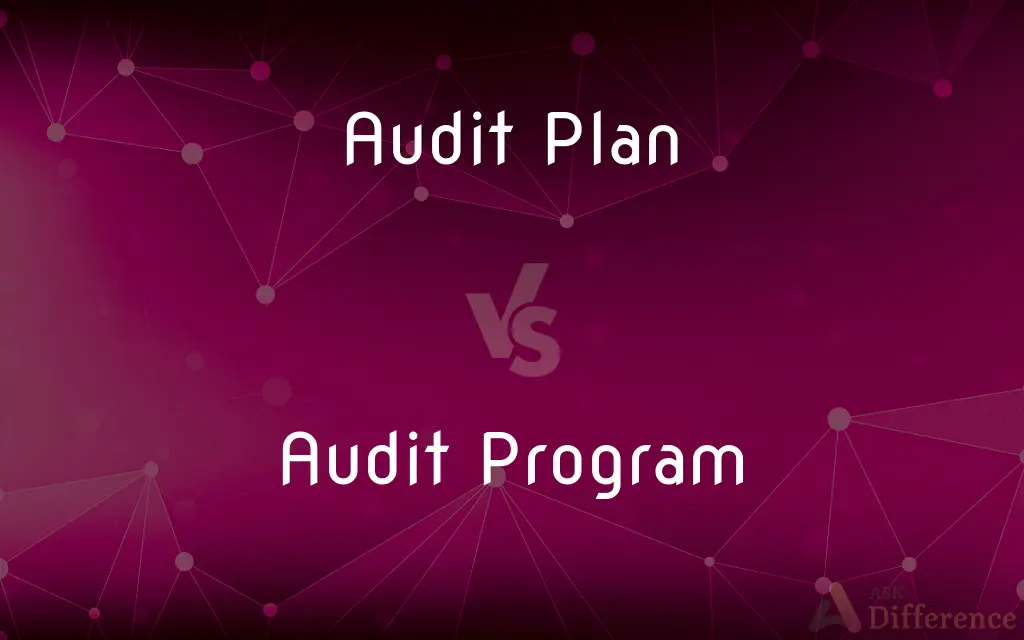 Audit Plan vs. Audit Program — What's the Difference?