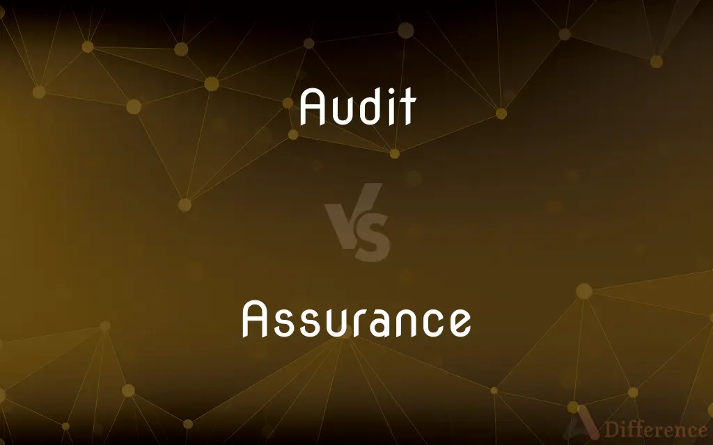Audit vs. Assurance — What's the Difference?