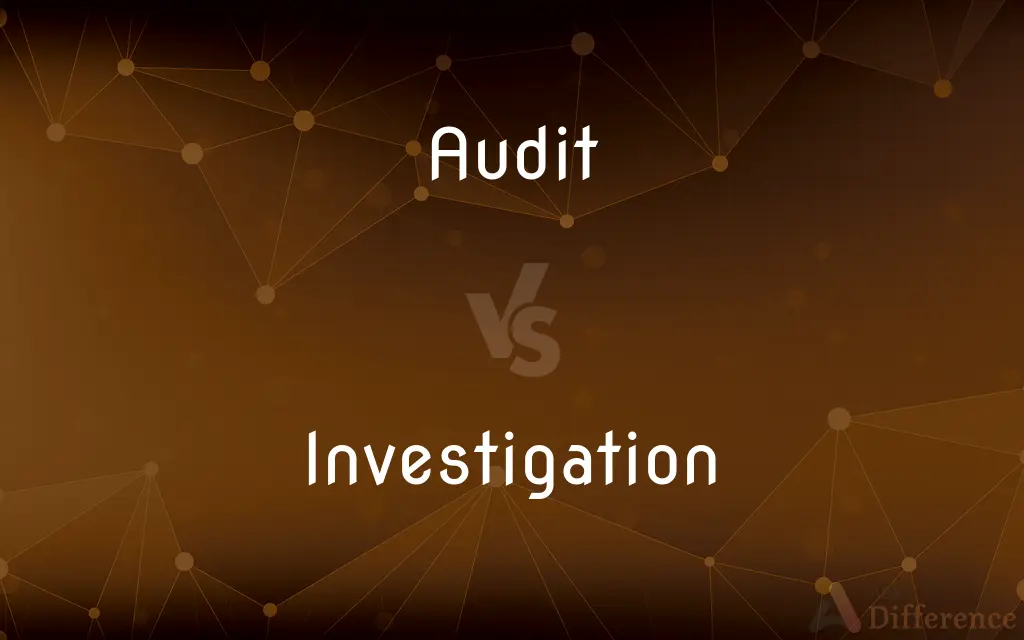 Audit vs. Investigation — What's the Difference?