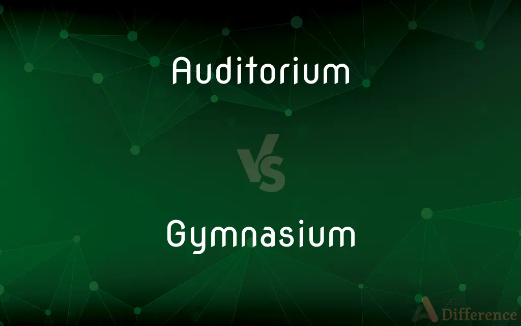 Auditorium vs. Gymnasium — What's the Difference?