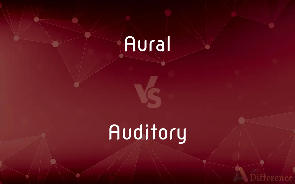 Aural vs. Auditory — What's the Difference?