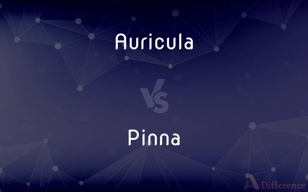 Auricula vs. Pinna — What's the Difference?
