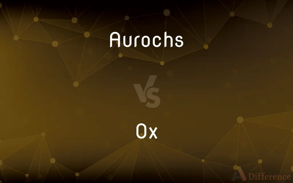 Aurochs vs. Ox — What's the Difference?